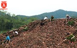 Hành động đẹp sau trận giông lốc làm người dân xúc động